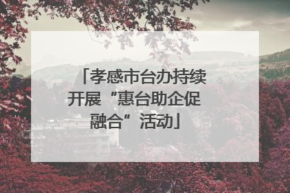 孝感市台办持续开展“惠台助企促融合”活动