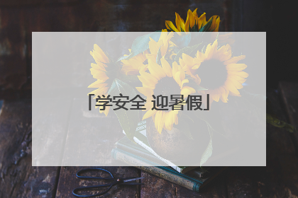 学安全 迎暑假
