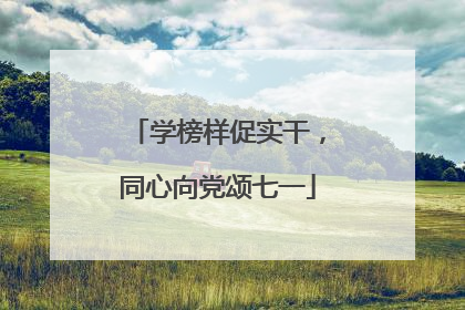 学榜样促实干，同心向党颂七一