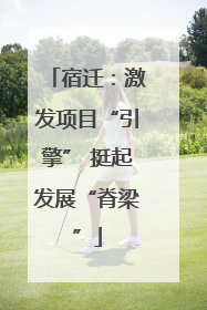 宿迁：激发项目“引擎” 挺起发展“脊梁”