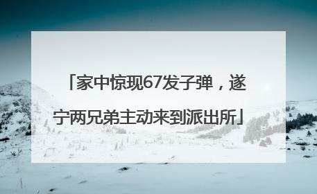 家中惊现67发子弹，遂宁两兄弟主动来到派出所