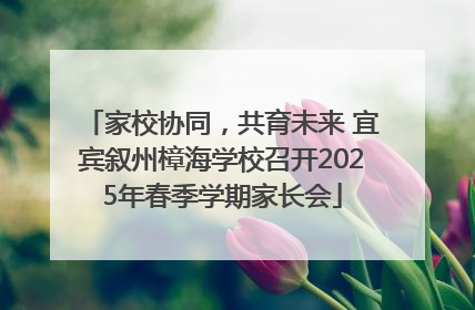 家校协同，共育未来 宜宾叙州樟海学校召开2025年春季学期家长会