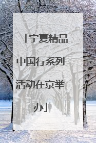 宁夏精品中国行系列活动在京举办