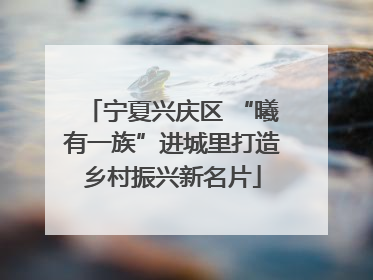 宁夏兴庆区 “曦有一族”进城里打造乡村振兴新名片