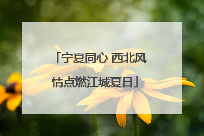 宁夏同心 西北风情点燃江城夏日