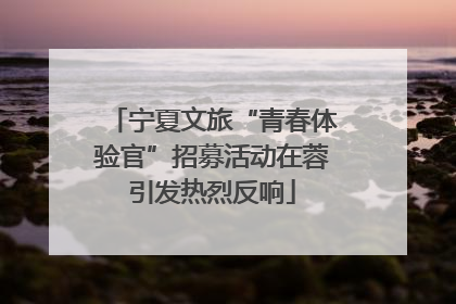 宁夏文旅“青春体验官”招募活动在蓉引发热烈反响