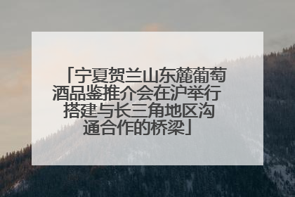 宁夏贺兰山东麓葡萄酒品鉴推介会在沪举行 搭建与长三角地区沟通合作的桥梁