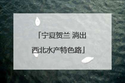 宁夏贺兰 淌出西北水产特色路