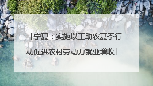 宁夏：实施以工助农夏季行动促进农村劳动力就业增收