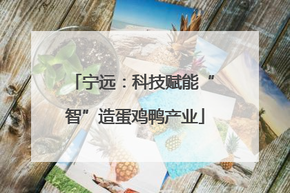 宁远：科技赋能“智”造蛋鸡鸭产业