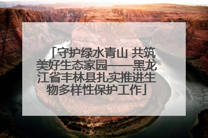 守护绿水青山 共筑美好生态家园——黑龙江省丰林县扎实推进生物多样性保护工作