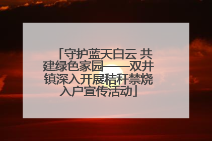 守护蓝天白云 共建绿色家园——双井镇深入开展秸秆禁烧入户宣传活动