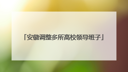 安徽调整多所高校领导班子