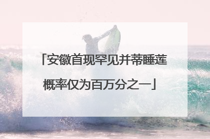 安徽首现罕见并蒂睡莲 概率仅为百万分之一