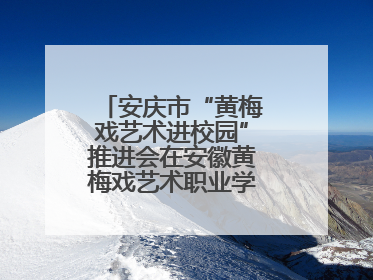 安庆市“黄梅戏艺术进校园”推进会在安徽黄梅戏艺术职业学院顺利召开