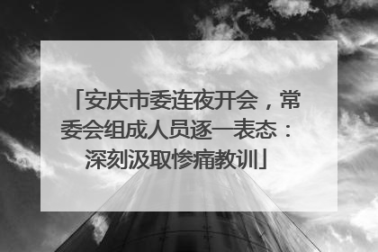 安庆市委连夜开会，常委会组成人员逐一表态：深刻汲取惨痛教训