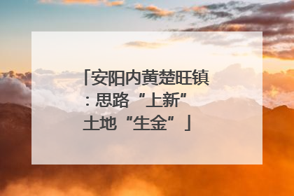 安阳内黄楚旺镇：思路“上新” 土地“生金”