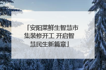 安阳菜鲜生智慧市集装修开工 开启智慧民生新篇章
