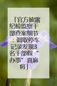 官方披露纪检监察干部查案细节：调取停车记录发现3名干部假“办事”真麻将