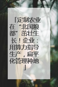 定制农业在“北国粮都”茁壮生长！企业：用算力指导生产，扁平化管理种地