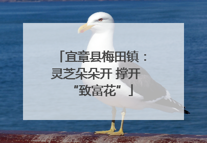 宜章县梅田镇：灵芝朵朵开 撑开“致富花”