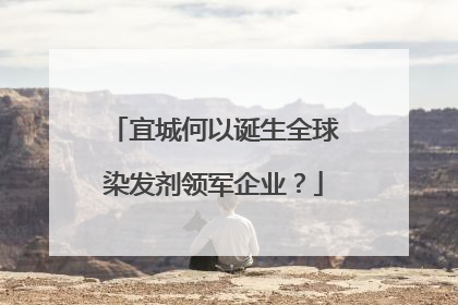 宜城何以诞生全球染发剂领军企业？