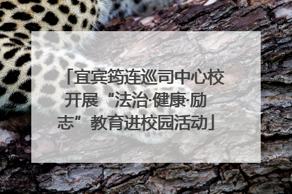 宜宾筠连巡司中心校开展“法治·健康·励志”教育进校园活动