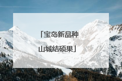 宝岛新品种 山城结硕果