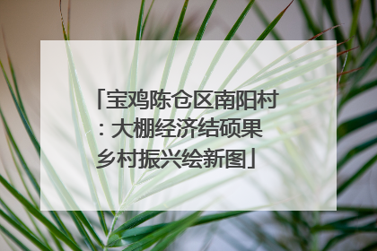 宝鸡陈仓区南阳村：大棚经济结硕果 乡村振兴绘新图