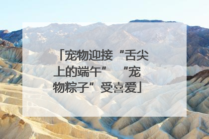 宠物迎接“舌尖上的端午” “宠物粽子”受喜爱