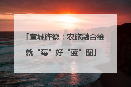 宣城旌德：农旅融合绘就“莓”好“蓝”图