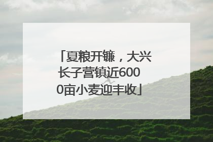 夏粮开镰，大兴长子营镇近6000亩小麦迎丰收