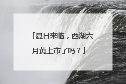 夏日来临，西湖六月黄上市了吗？