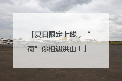 夏日限定上线，“荷”你相遇洪山！