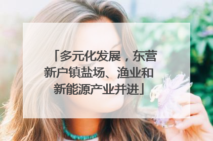 多元化发展，东营新户镇盐场、渔业和新能源产业并进