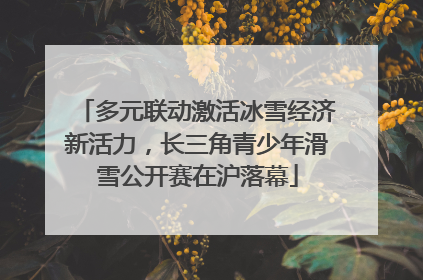 多元联动激活冰雪经济新活力，长三角青少年滑雪公开赛在沪落幕