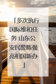 多次执行国际维和任务 山东公安民警陈强亮相国新办