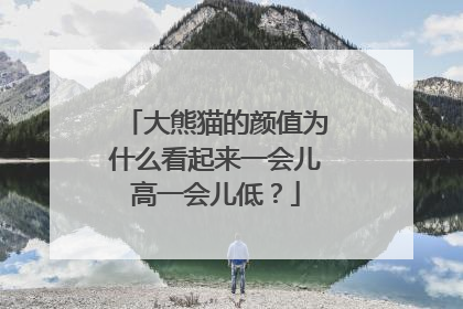 大熊猫的颜值为什么看起来一会儿高一会儿低？