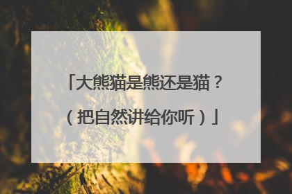 大熊猫是熊还是猫？（把自然讲给你听）