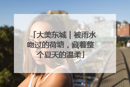 大美东城｜被雨水吻过的荷塘，藏着整个夏天的温柔