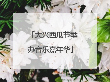 大兴西瓜节举办音乐嘉年华
