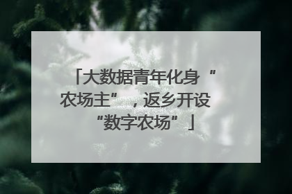 大数据青年化身“农场主”，返乡开设“数字农场”