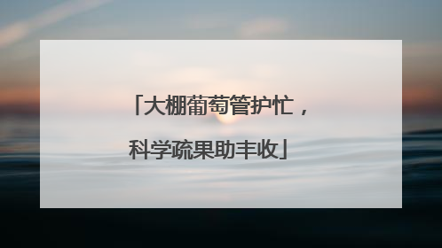 大棚葡萄管护忙，科学疏果助丰收