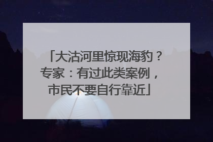 大沽河里惊现海豹？专家：有过此类案例，市民不要自行靠近