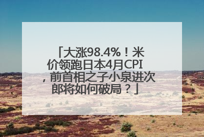 大涨98.4%！米价领跑日本4月CPI，前首相之子小泉进次郎将如何破局？
