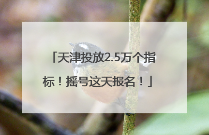 天津投放2.5万个指标！摇号这天报名！