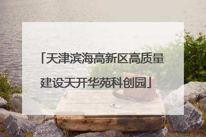 天津滨海高新区高质量建设天开华苑科创园