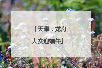天津：龙舟大赛迎端午