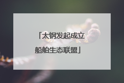 太钢发起成立船舶生态联盟