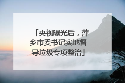 央视曝光后，萍乡市委书记实地督导垃圾专项整治